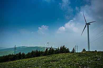 《GTA6》男女双主角 或难以超越前作三主角